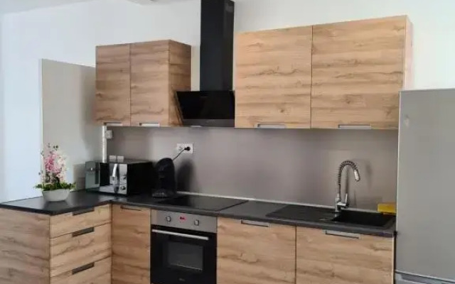 Vierzon superbe appartement