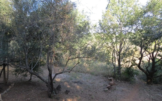 The Island River Lodge