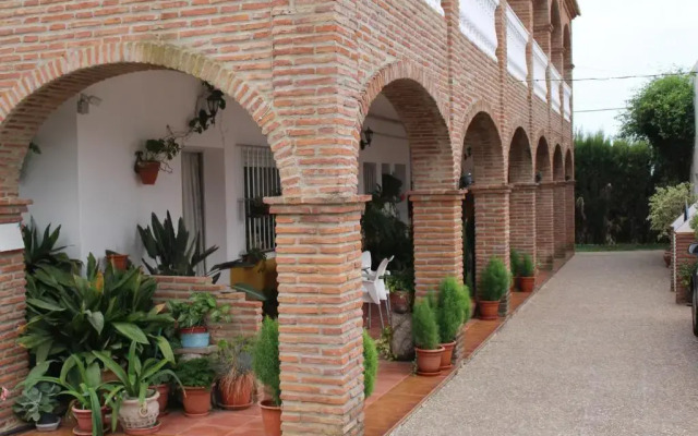 Apartamentos Bolonia Paraiso