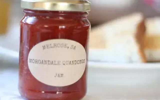 Great Northern Lodge