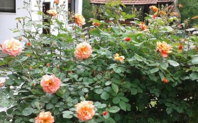 Guest House Planinska Sreshta