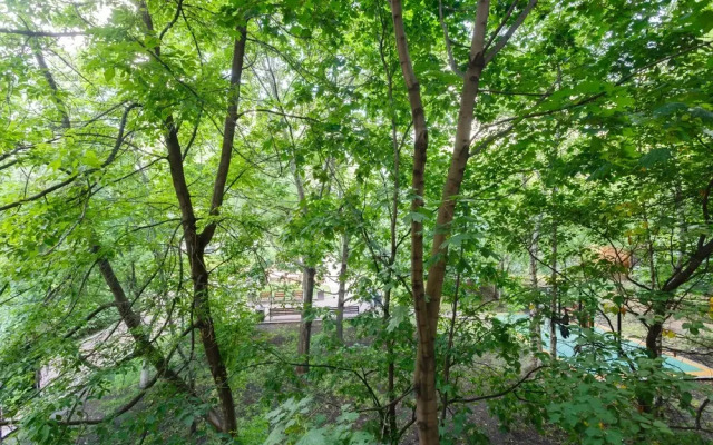 Brusnika Apartment Arbat Standart