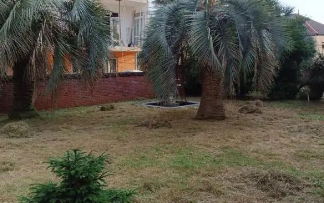 Old House