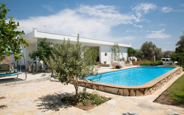 Important Group | Villa Daisy