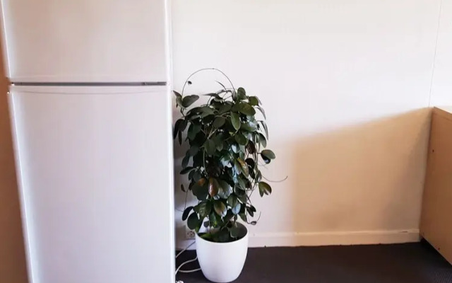 StayPlus Central Apartment With Garden