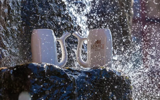 Спа-отель «Респект»