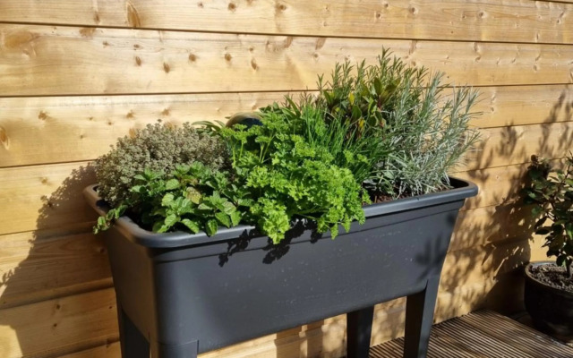 Vakantiehuisje De Barones