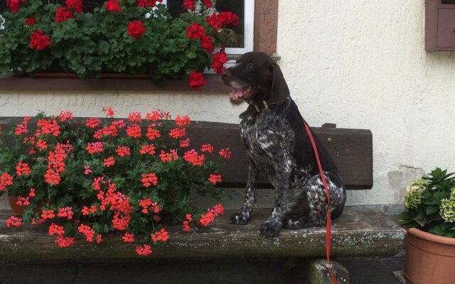 Pension Silberdistel