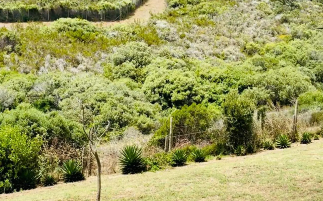Hotel Vibes Cape Town Plattekloof