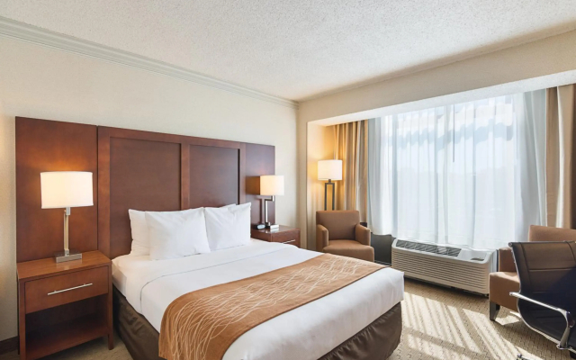 Comfort Inn by the Bay
