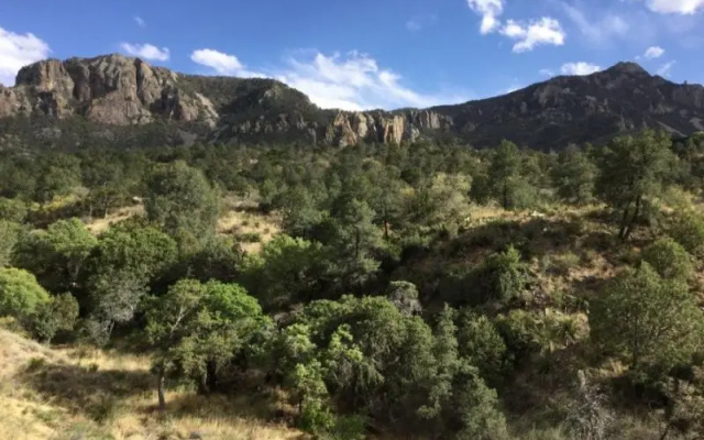 Chisos Mountains Lodge