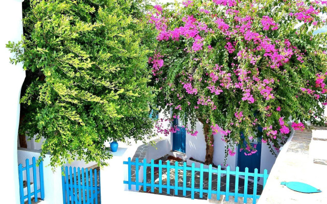 Purple Flower Villa