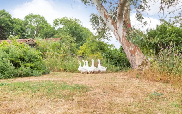 The Hen House