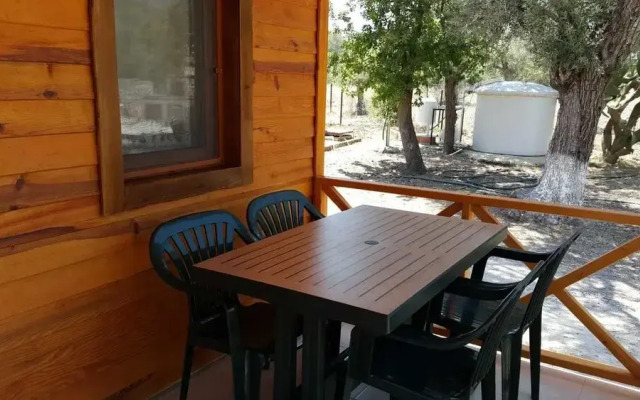 Dream Garden Evleri