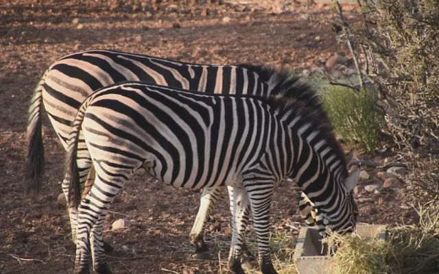 Zwartberg View Mountain Lodge