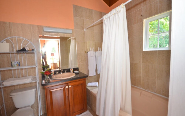 Summerhill, 8BR by Jamaican Treasures