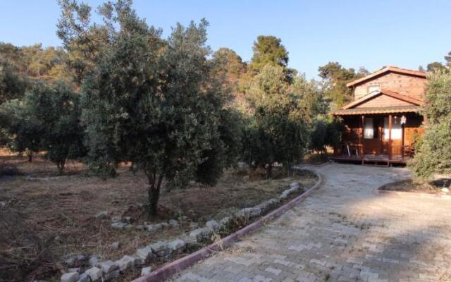 olive garden bungalow