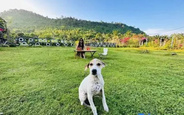 Together 2 Holiday Resort