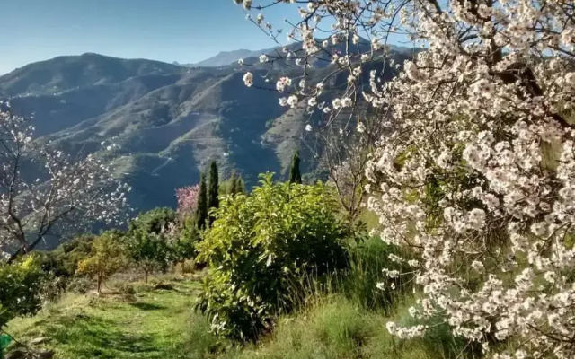 Villa Colina Tropical