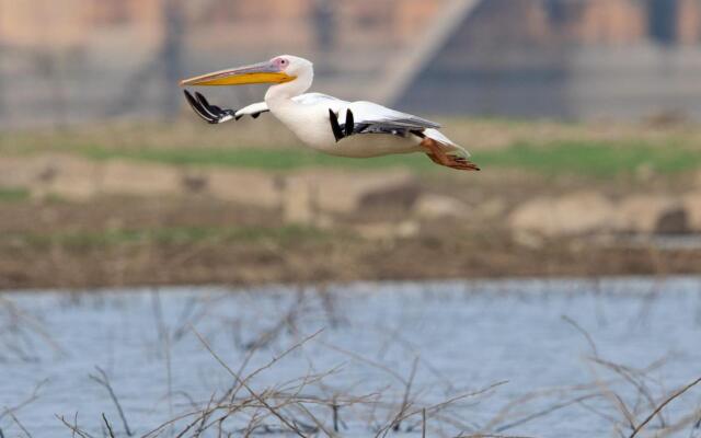 RAAS Chhatrasagar