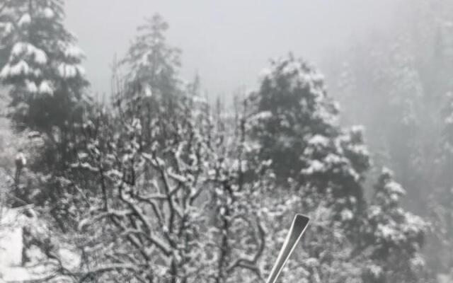 Incredible Guest House