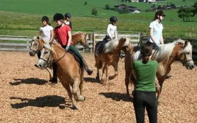 Sonnfeld