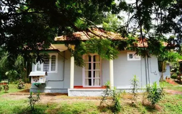 Contour Jungle Resort