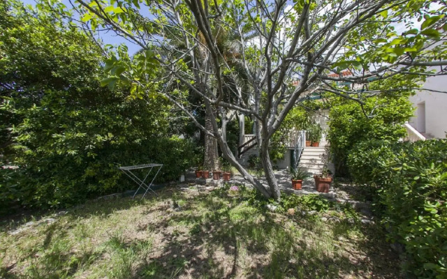 Cvita - 150 m From Pebble Beach - SA1
