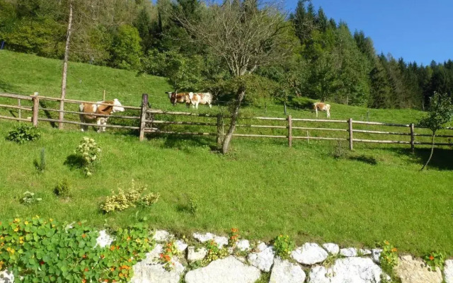 Gasthof Pension Ehrenfried