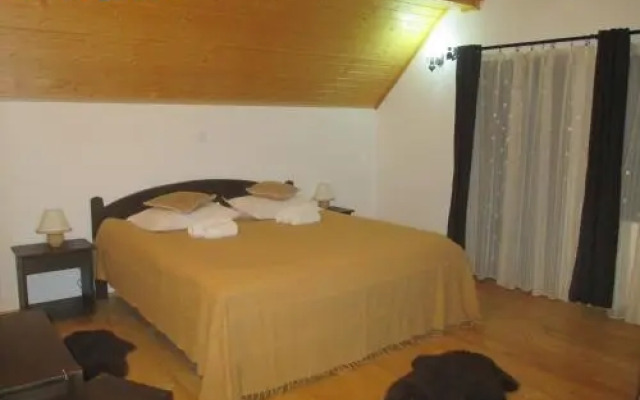 Pension Cabana Ionela