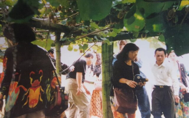 Waitomo Orchard Estate B&B