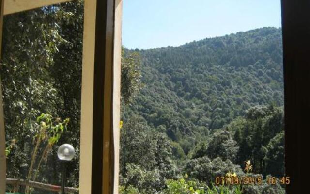 Janardan Homestay Nainital