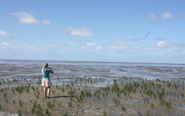 Traditional Villa in Tzummarum near Sea