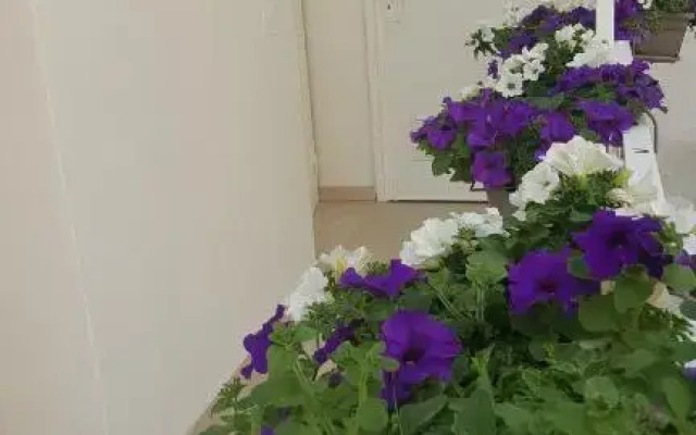 Matera Guest House