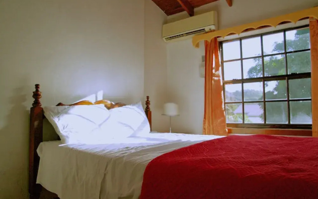 Tropical Breeze Guesthouse and Furnished Apartments