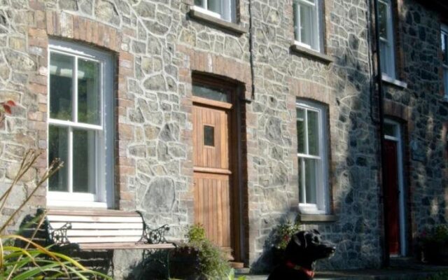 Bronfelin & Troed-y-Rhiw Holiday Cottage