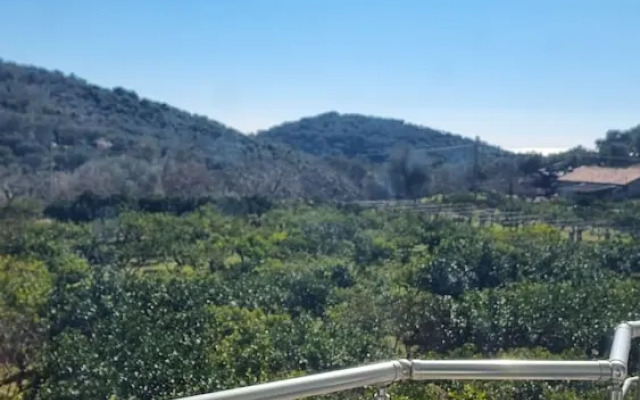 Apartments Princess Valdanos