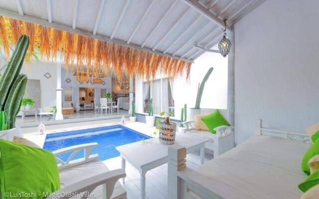 Smiling Cactus Villa