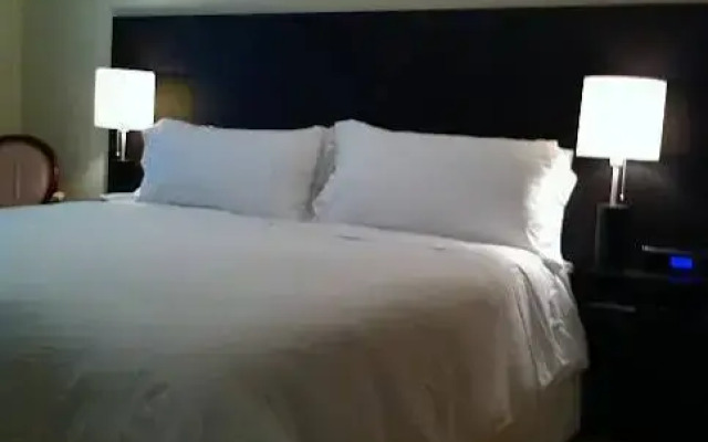 Toronto Luxury Accommodations - University Plaza