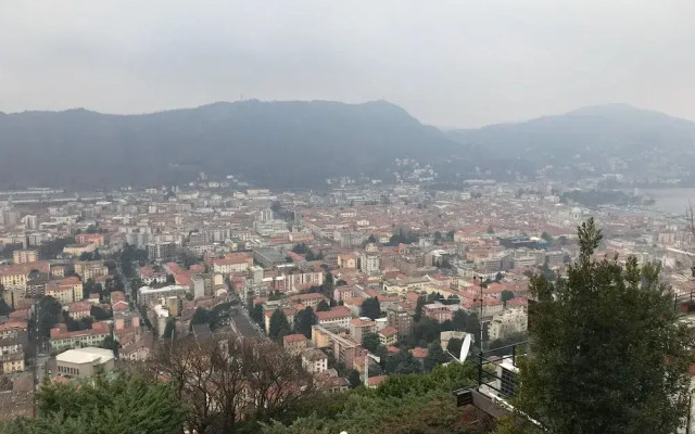 Wonder View