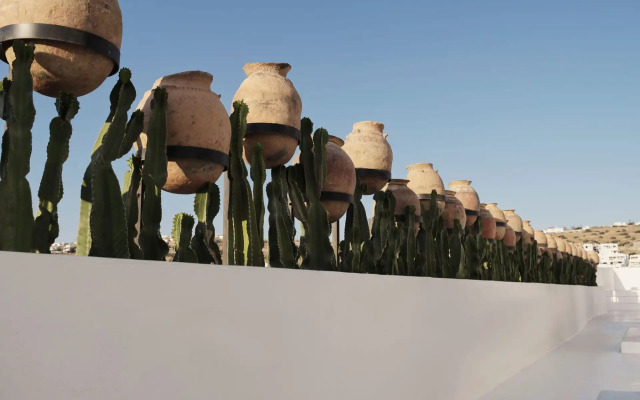 O by Myconian Collection