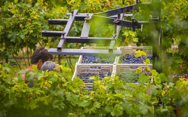 B&B Boutique Osteria della pieve