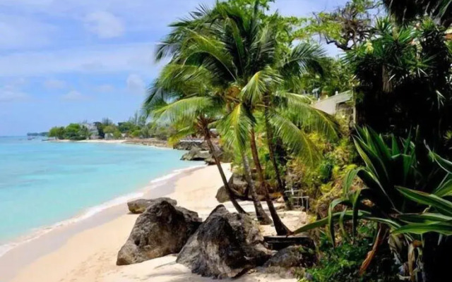 Secret Cove 4