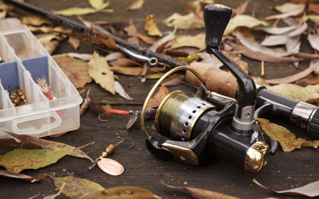 Denali Backcountry Lodge