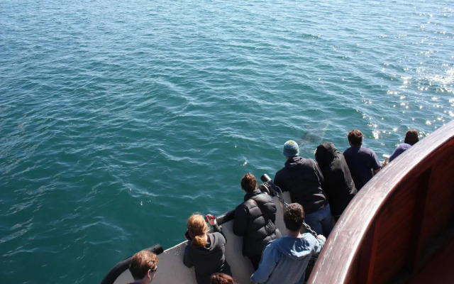 The Rock Adventure Cruise