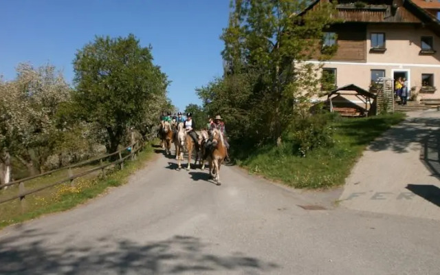 Reitbauernhof Ferner