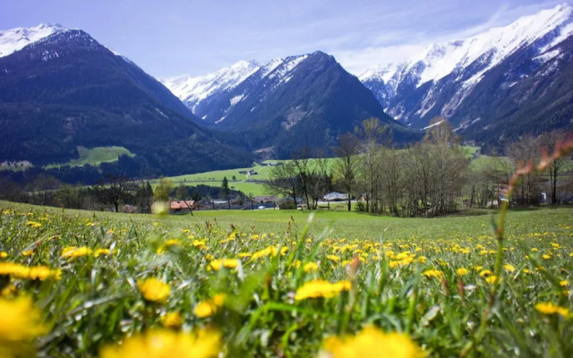 Apartment in Hohe Tauern Near Wildkogel Arena