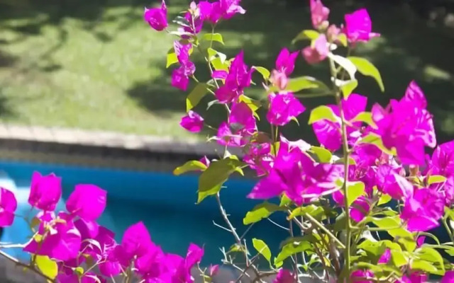 Pousada Villa Jambo