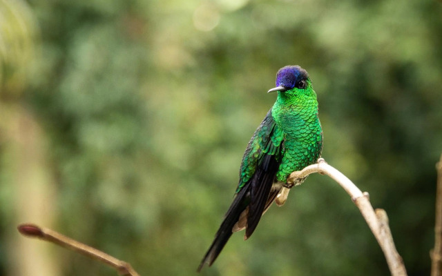 Nossa casa em Canela