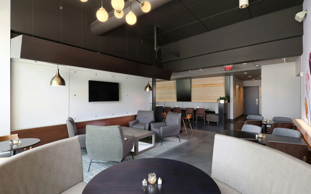 Tulyp, Tapestry Collection by Hilton